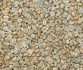 Papua New Guinea - Jiwaka Arufa - Natural Processed (12 oz.)