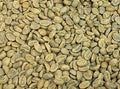 Colombia Huila Pink Bourbon (12 oz.)