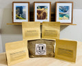 Coffee Discovery Sampler